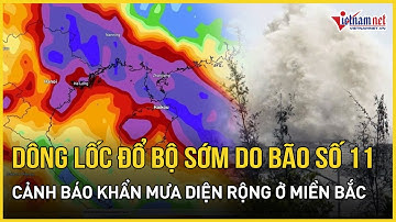 KHẨN CẤP: Bão số 11 Matmo sắp "vượt rào" tiến thẳng Vịnh Bắc Bộ, cảnh báo dông lốc đổ bộ từ tối nay