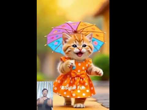 Dudi Dudi Dum Dum Shorts Shortsfeed Dudidudidam Catshorts 