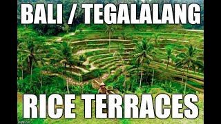 Bali: Tegalalang, Rice Terraces (w/ FPV Drone)