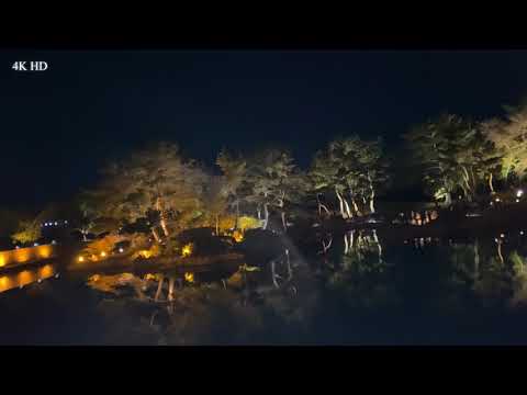 경주 동궁과 월지(안압지)첨성대 불국사 석굴암 Nature of sound virtual Night Hike, Relaxing 4kHD with real nature woods
