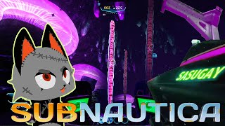 Stumbled into the void [Subnautica]