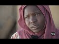 Darfuri children fleeing violence fall into child labor