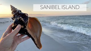 I found a giant shell! Sanibel Island gave me a big ol