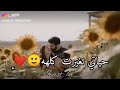 رجعت صغير بحبك حياتي تغيرت كلهة إذا عجبك لفيديو لأيك