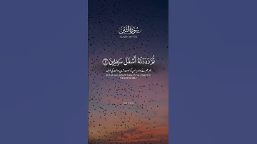 والتين والزيتون 🥀تلاوة خاشعة بصوت ماهر المعيقلي القرآن الكريم 🤍
