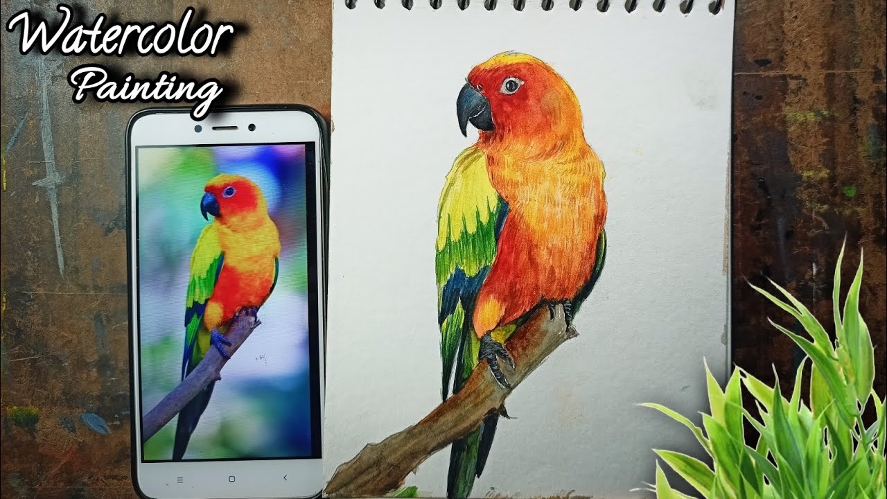 Beautiful Sun conure bird Watercolor Painting 😍 Watercolor Tutorial For ...
