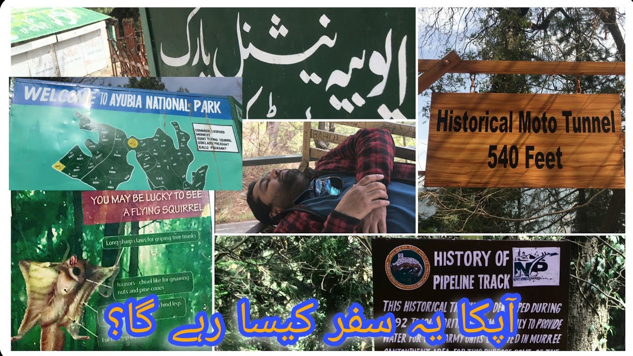 pipeline-track-ayubia-nathia-gali-murree-a-day-out-march-2021
