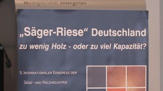 Zu Wenig Holz Und Zu Viel Kapazität