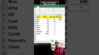 What is Fill Handle in Excel? | Easy Excel Auto-Fill Trick for Beginners