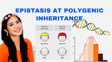 EPISTASIS AT POLYGENIC INHERITANCE
