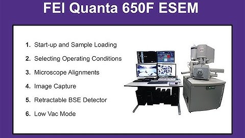 FEI Quanta 650F ESEM Training