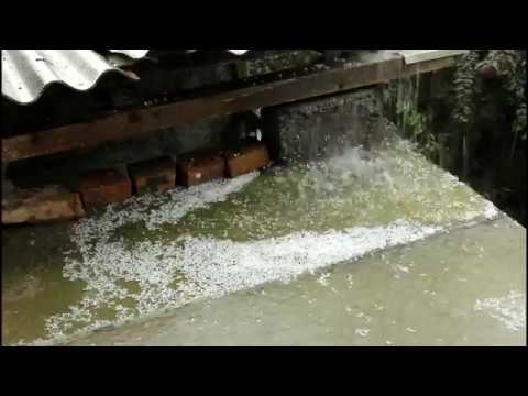 სეტყვა თელავში