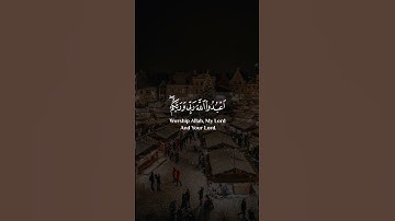 سعد الغامدي سورة المائدة Saad Alghamidi Surat Al Maeda