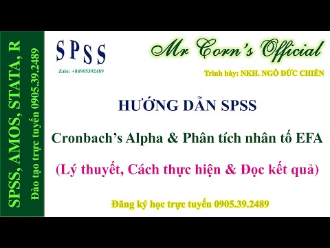 19.10.2022 Hướng dẫn SPSS | Cronbach’s Alpha & Phân tích nhân tố EFA (Lý thuyết cho đến kết quả)