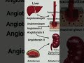 RAAS (Kidney liver lungs)#youtube #youtubeshorts #youtube #biology