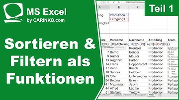 MS Excel Funktionen Sortieren und Filtern: Abfragen leicht gemacht | Teil 1 - carinko.com