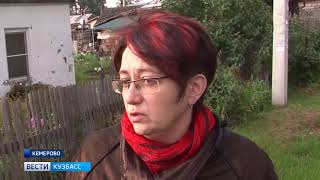 В Кемерове собаку по кличке Шарик замуровали в будке В Кемерове собаку по кличке Шарик замуровали в будке