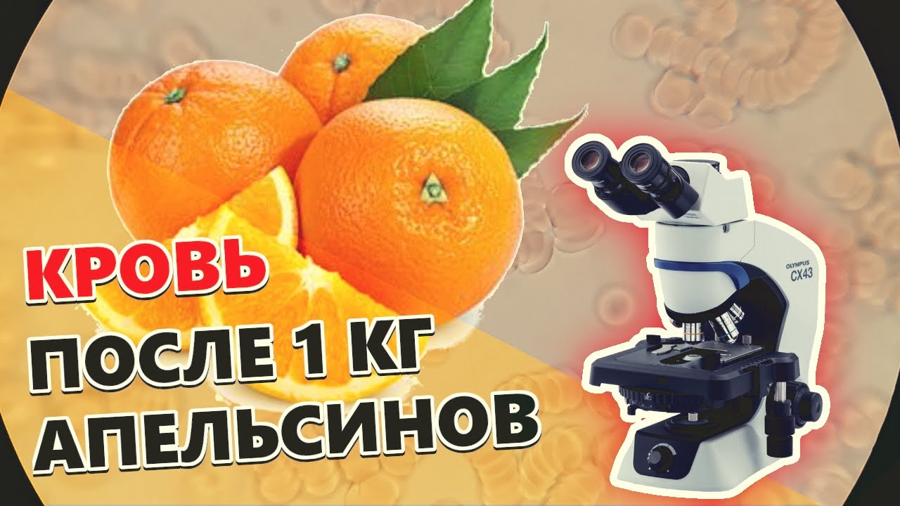 Я съел 1 кг апельсинов и вот как изменилась моя кровь. Тест с ...