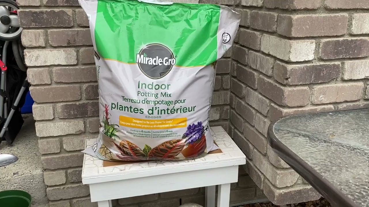 Miracle Gro Indoor Potting Mix 6 qt , Grows beautiful Houseplants Review