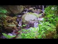 Deep sleep with calming babbling brook sounds, 10 hours nature noise