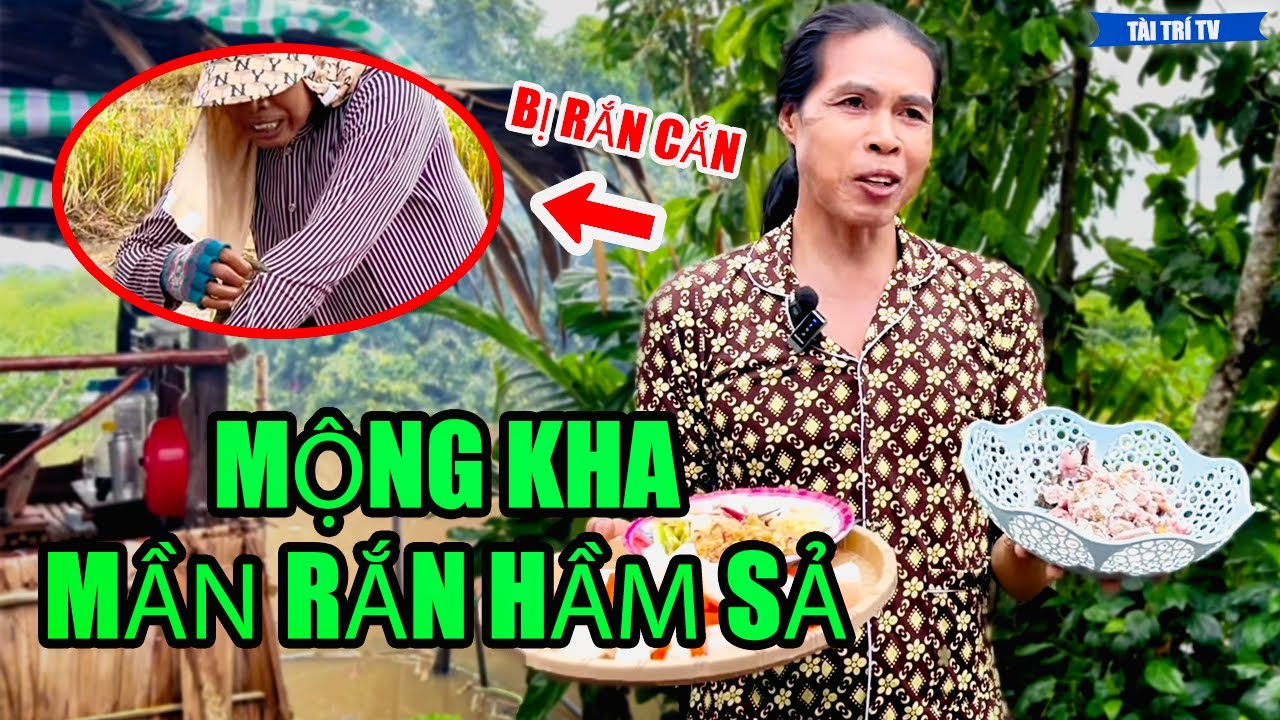 Mộng Ra Đồng Bắt Rắn Về Mần Món Hầm Sả Lai Rai Cho Buổi Chiều Mưa | Tài Trí TV