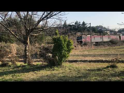 東北本線　EH500系　貨物列車　新田駅付近　通過