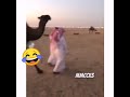 تقول وخر من قدامي ههههههههه