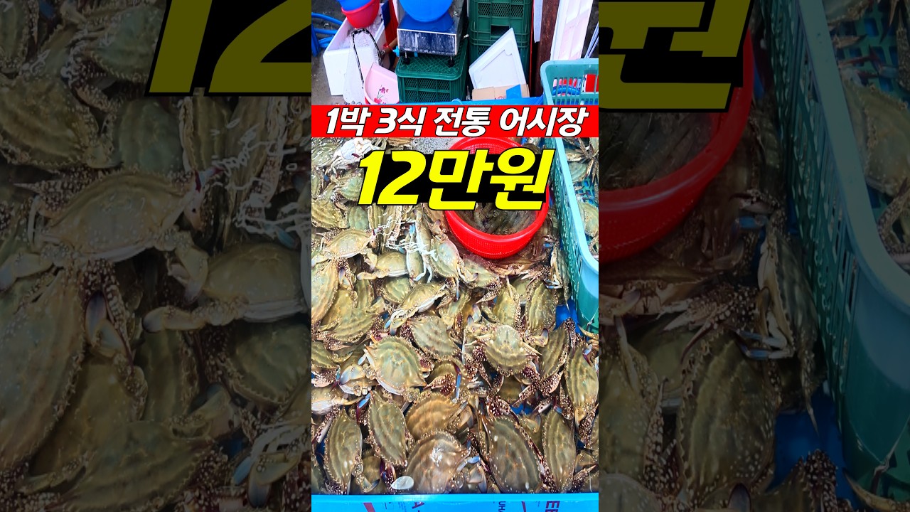 수도권에서 가까운데 1박 하면서 친구들과 싱싱한 해산물로 술한잔 마실 수 있는 여행지