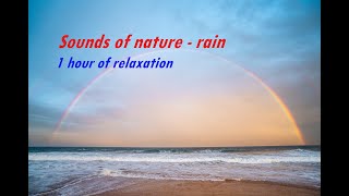 Rain | A beautiful composition for relaxation. Sounds of nature | Sleep, relax, study. 1 hour