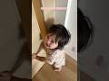 ママがリビングからいなくなったらすぐこれ😂もう抱っこ紐して生活して貰わないと笑#おすすめ#サンバ夫婦#カルくん