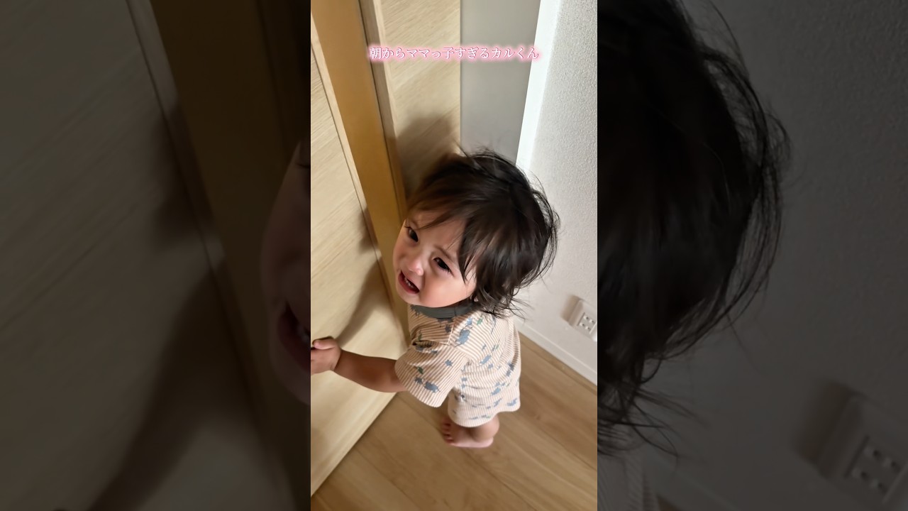 ママがリビングからいなくなったらすぐこれ😂もう抱っこ紐して生活して貰わないと笑#おすすめ#サンバ夫婦#カルくん