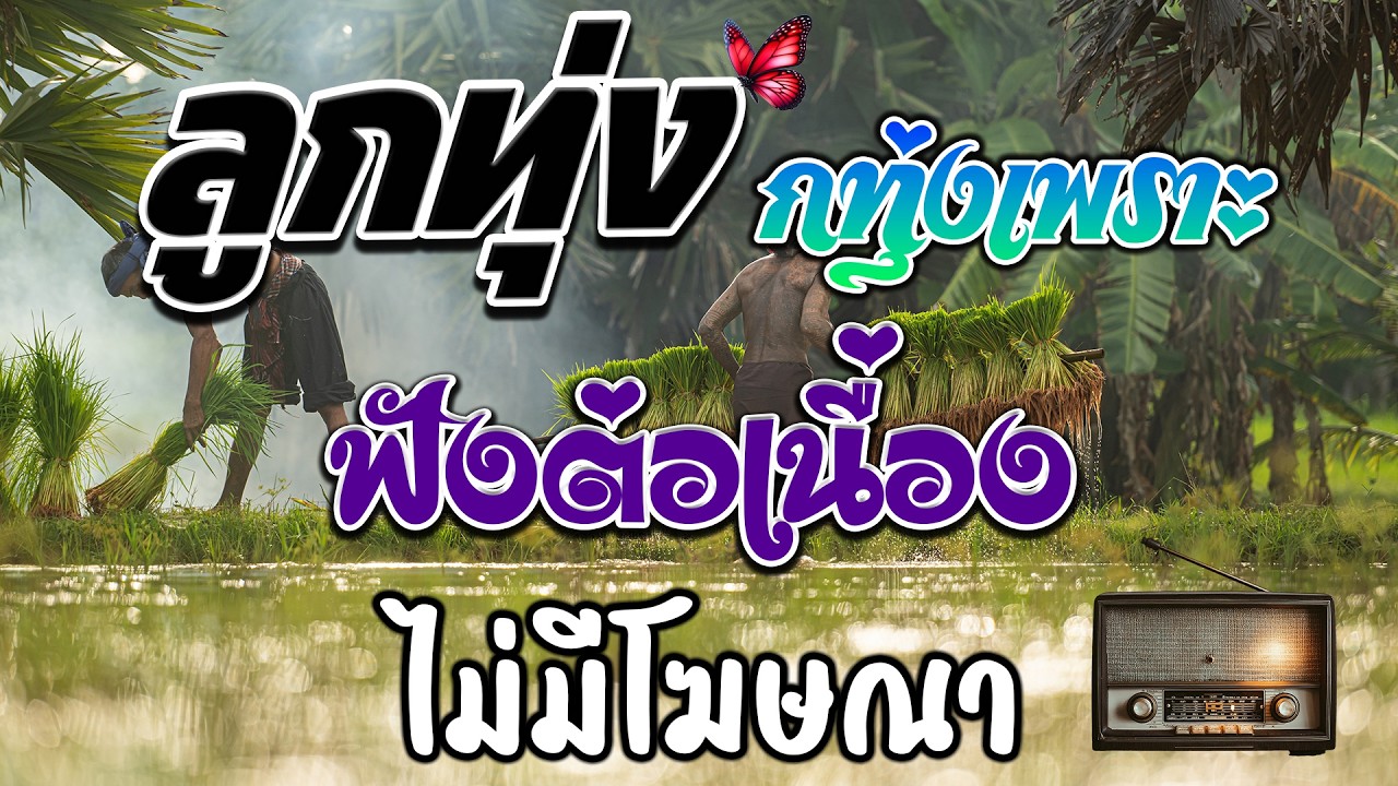 กทุ่งเพราะมาก  ลูกทุ่งเพื่อชีวิตโคตรเพราะ คัดมาพิเศษ ฟังต่อเนื่องหลายเพลง ไม่มีโฆษณา