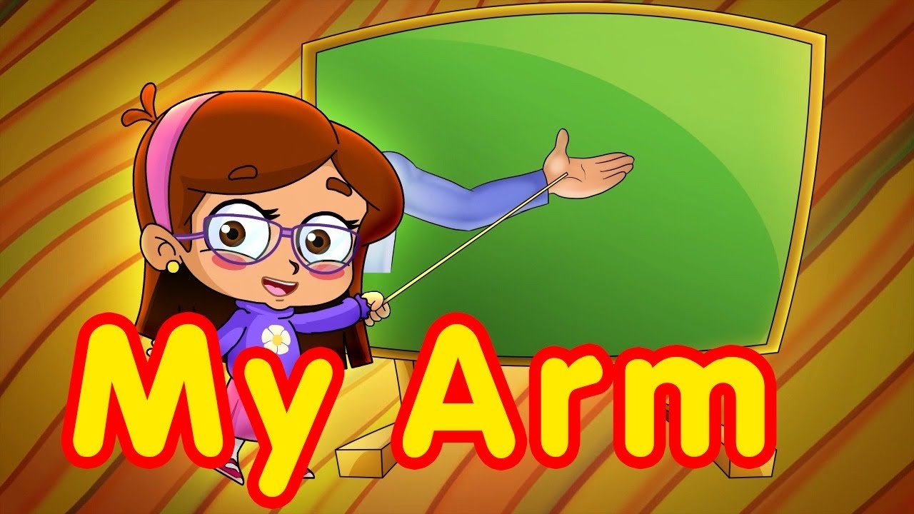 My Arm - Toyor Baby English