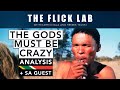 The Gods Must Be Crazy (1980) Film Analysis with South African Guest Matt | ep.68