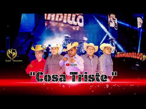 COSA TRISTE — DUETO LOS ARMADILLOS
