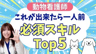これができたら一人前!動物看護師の身につけるべき必須スキルTOP5! 動物業界15年以上の現役獣医師がお伝えします!