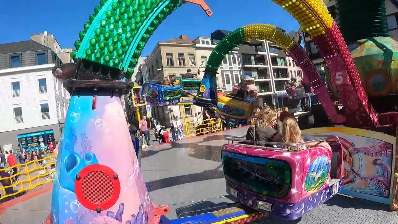 Riesen Polyp - (Lauwers)