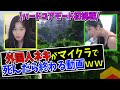 #1【マイクラ】1度死んだら生き返れないハードコアに外国人ネキ39daphが初挑戦ｗｗ死んだら動画が終わります。【日本語字幕付き】