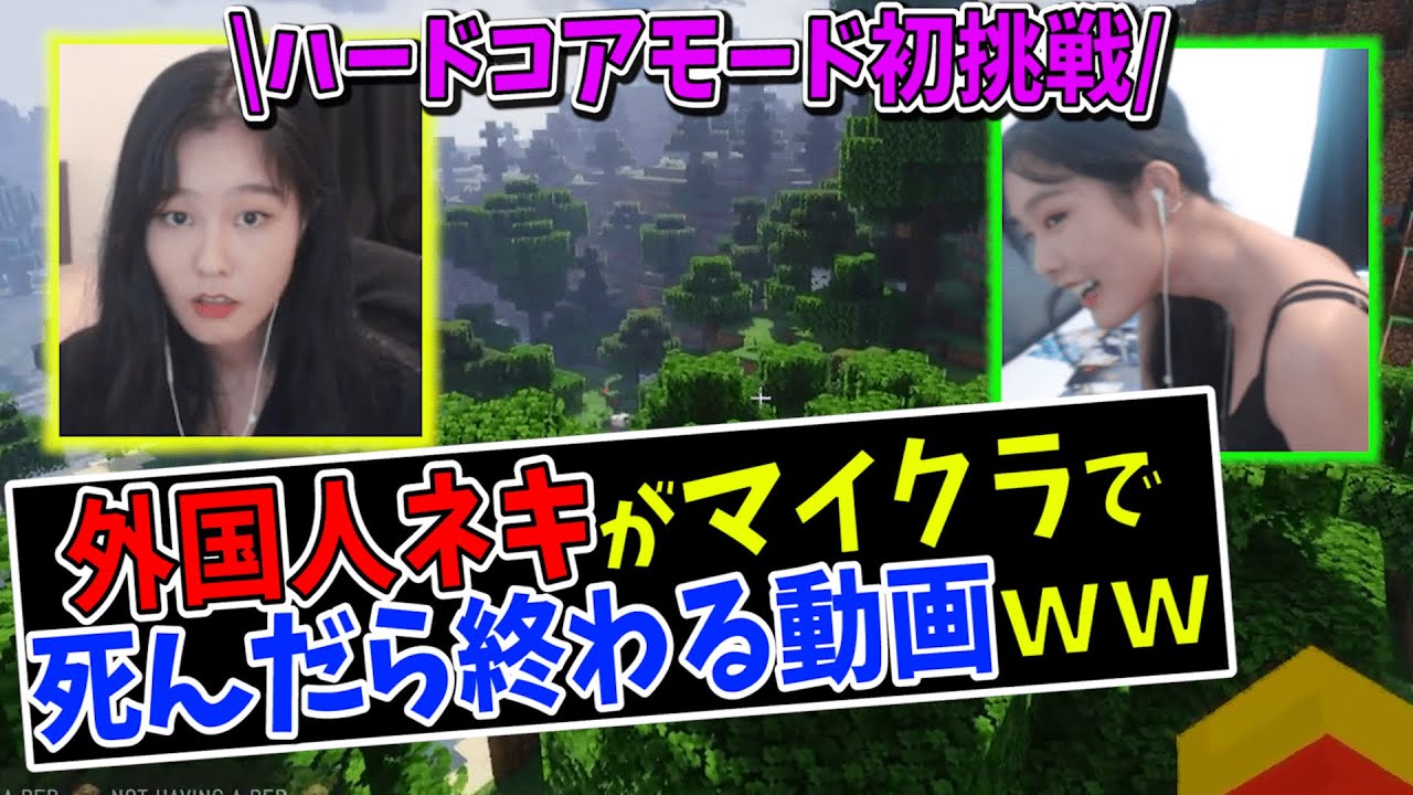 #1【マイクラ】1度死んだら生き返れないハードコアに外国人ネキ39daphが初挑戦ｗｗ死んだら動画が終わります。【日本語字幕付き】
