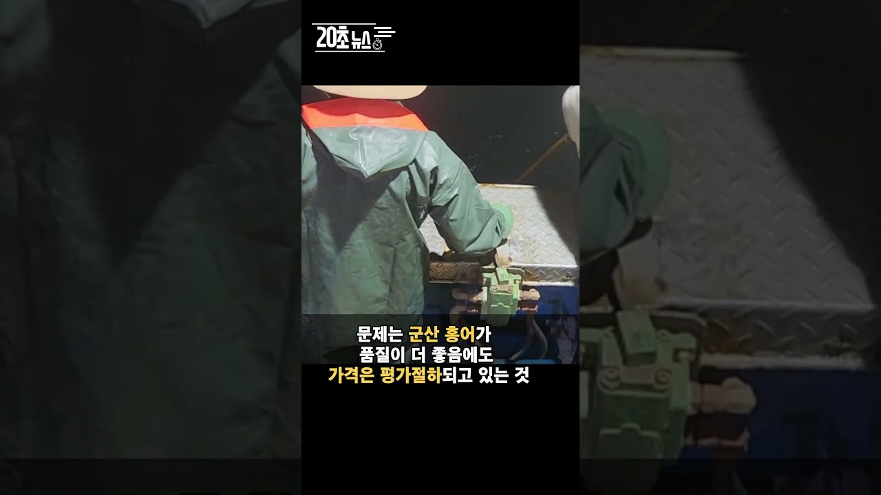 [20초뉴스] 품질이 더 좋은 군산 홍어