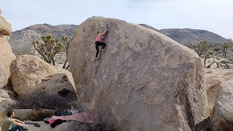 False Ayatollah** (V0) Flash - Joshua Tree