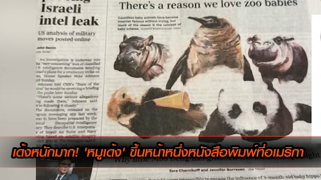เด้งหนักมาก! 'หมูเด้ง' ขึ้นหน้าหนึ่งหนังสือพิมพ์ที่อเมริกา