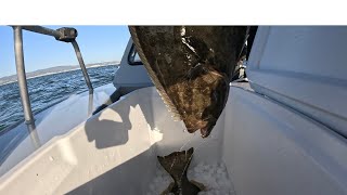 2024.04.06 San Francisco Bay Halibut Fishing