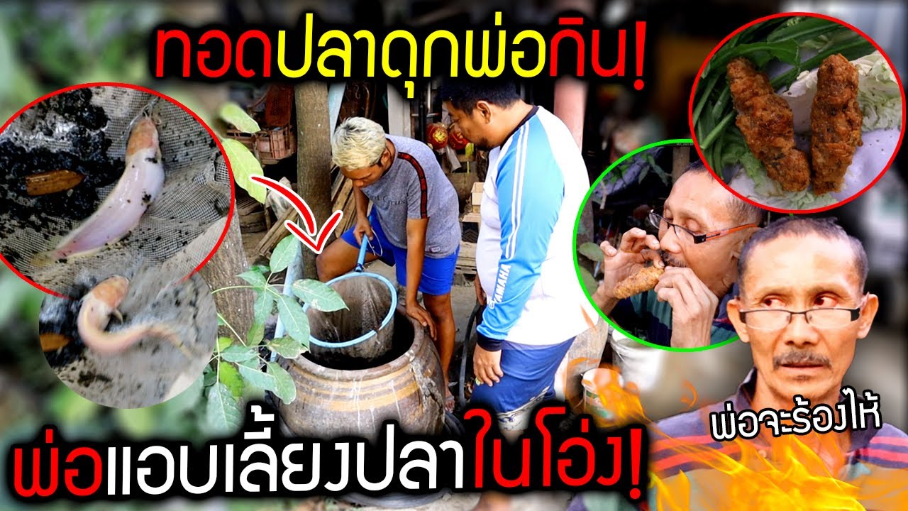 จับปลาดุกพ่อทอดกิน!!! พ่อแอบเลี้ยงปลาดุก!!! พ่อโมโหจัด