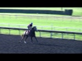 2015 Arlington Million Thursday Update