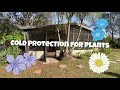 Protecting Plants From the Cold: Easy DIY Solutions
