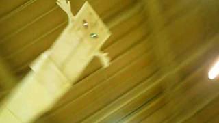 いったんもめんラジコン