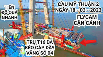 Cầu Mỹ Thuận 2: Trụ T16 Vĩnh Long hôm nay KÉO CÁP DÂY VĂNG SỐ 04, bó cáp ngày càng dài hơn @kudattv