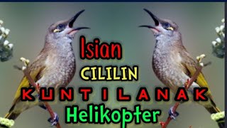 Kombok Isian Cililin, Kuntilanak, Helikopter dll