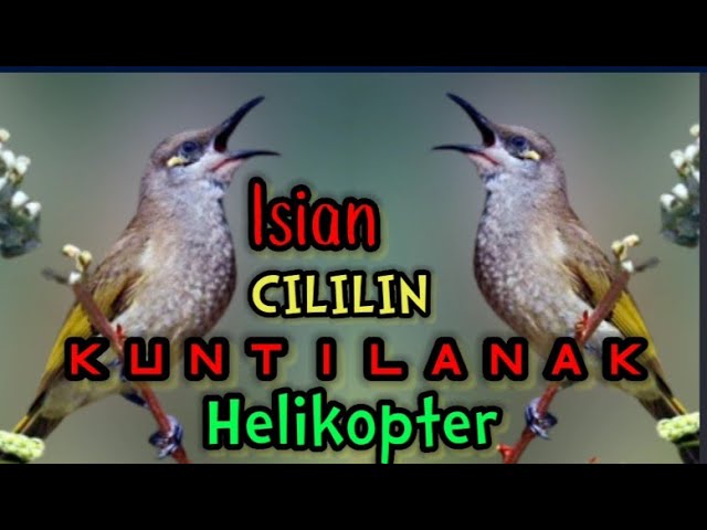 Kombok Isian Cililin, Kuntilanak, Helikopter dll class=